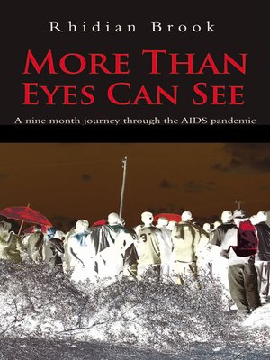 cover image of More Than Eyes Can See